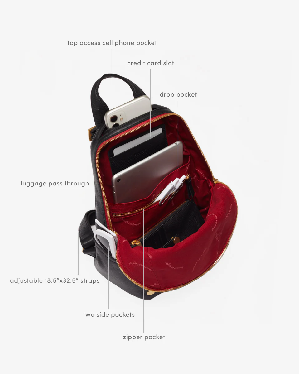 Hunter | Black/Brushed Gold Red Zip | Med - Image 7
